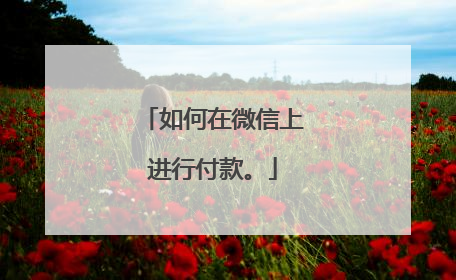 如何在微信上进行付款。