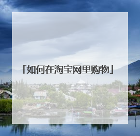如何在淘宝网里购物
