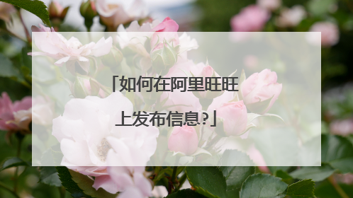 如何在阿里旺旺上发布信息?