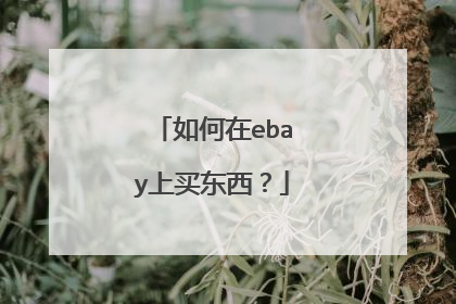 如何在ebay上买东西?