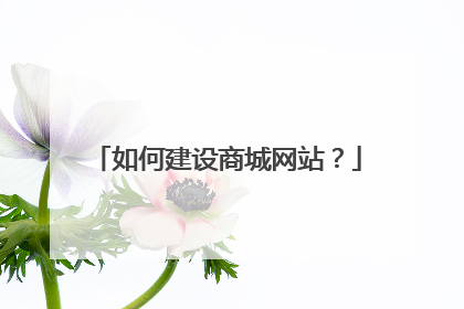如何建设商城网站?