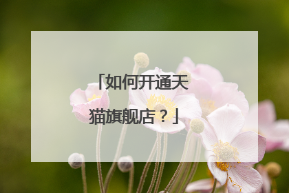 如何开通天猫旗舰店?