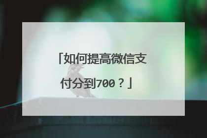 如何提高微信支付分到700?