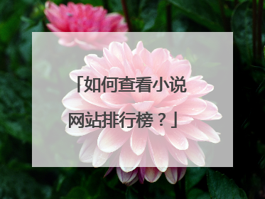 如何查看小说网站排行榜？