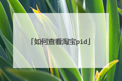 如何查看淘宝pid