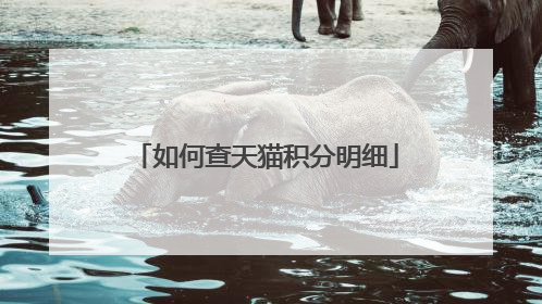 如何查天猫积分明细
