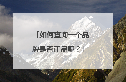 如何查询一个品牌是否正品呢?