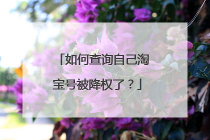 如何查询自己淘宝号被降权了?