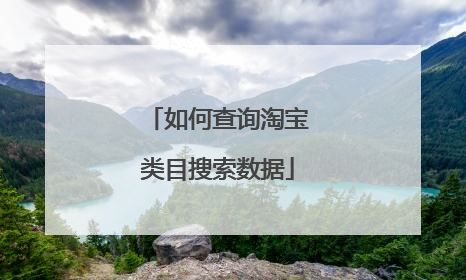 如何查询淘宝类目搜索数据