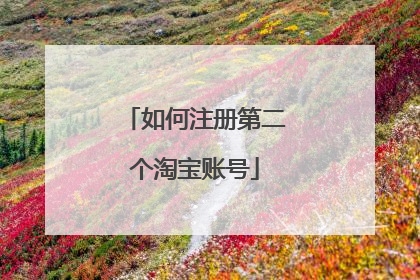 如何注册第二个淘宝账号