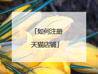 如何注册天猫店铺