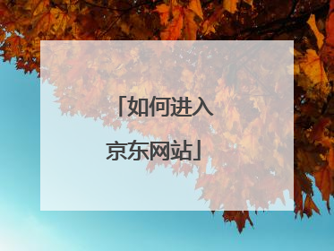 如何进入京东网站