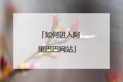 如何进入阿里巴巴网站
