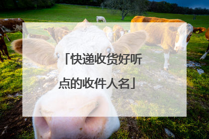 快递收货好听点的收件人名