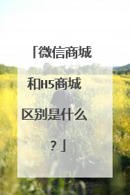 微信商城和H5商城区别是什么?