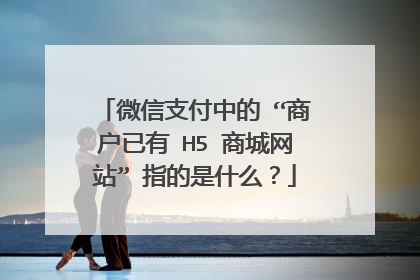 微信支付中的 “商户已有 H5 商城网站” 指的是什么?