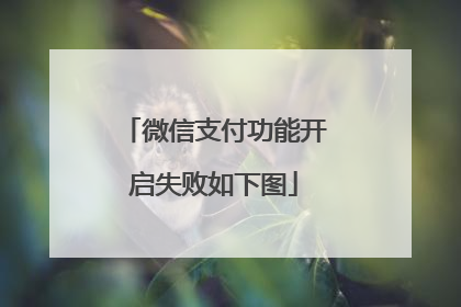 微信支付功能开启失败如下图