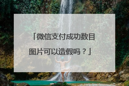 微信支付成功数目图片可以造假吗？