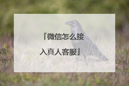 微信怎么接入真人客服