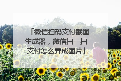 微信扫码支付截图生成器，微信扫一扫支付怎么弄成图片