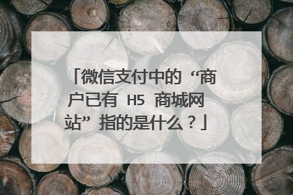 微信支付中的 “商户已有 H5 商城网站” 指的是什么?