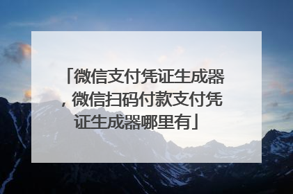微信支付凭证生成器，微信扫码付款支付凭证生成器哪里有