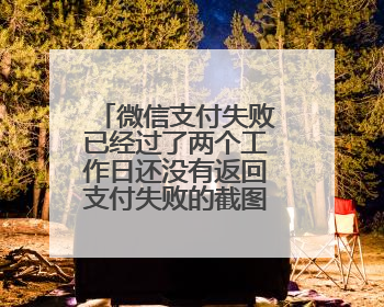 微信支付失败已经过了两个工作日还没有返回支付失败的截图也有?