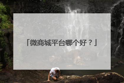 微商城平台哪个好?
