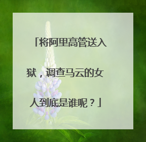 将阿里高管送入狱,调查马云的女人到底是谁呢?