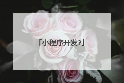小程序开发?