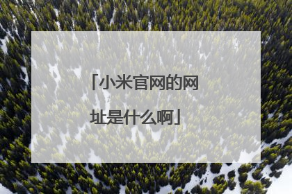 小米官网的网址是什么啊