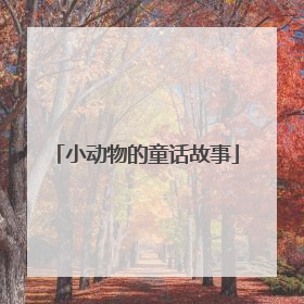 小动物的童话故事