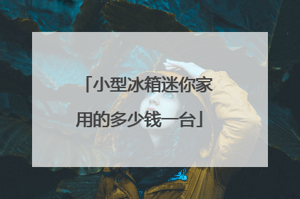小型冰箱迷你家用的多少钱一台
