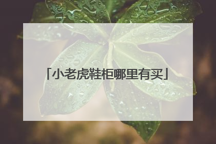小老虎鞋柜哪里有买