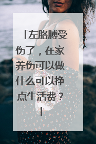 左胳膊受伤了,在家养伤可以做什么可以挣点生活费?