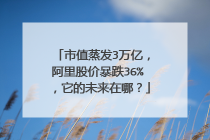 市值蒸发3万亿,阿里股价暴跌36%,它的未来在哪?