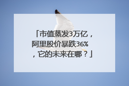 市值蒸发3万亿,阿里股价暴跌36%,它的未来在哪?