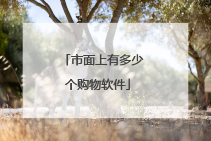 市面上有多少个购物软件