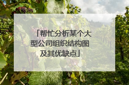 帮忙分析某个大型公司组织结构图及其优缺点