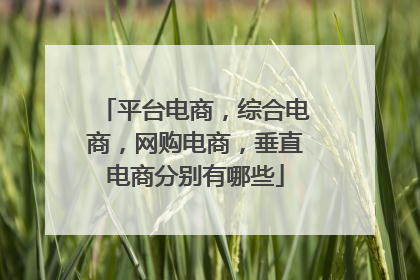 平台电商,综合电商,网购电商,垂直电商分别有哪些