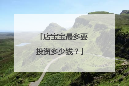 店宝宝最多要投资多少钱?