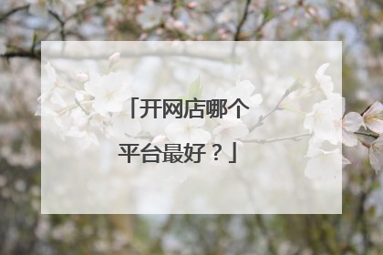 开网店哪个平台最好?