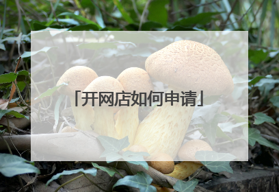 开网店如何申请