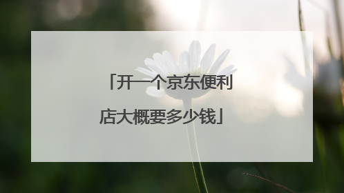 开一个京东便利店大概要多少钱