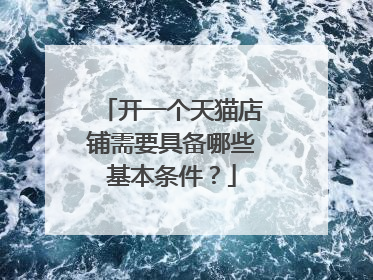 开一个天猫店铺需要具备哪些基本条件?
