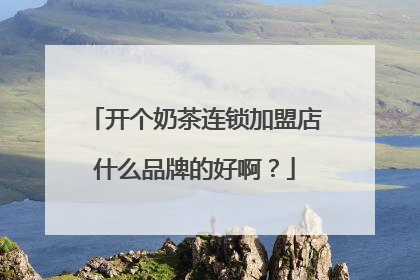 开个奶茶连锁加盟店什么品牌的好啊?