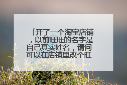 开了一个淘宝店铺，以前旺旺的名字是自己真实姓名，请问可以在店铺里改个旺旺显示昵称吗？