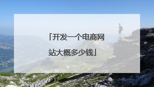 开发一个电商网站大概多少钱