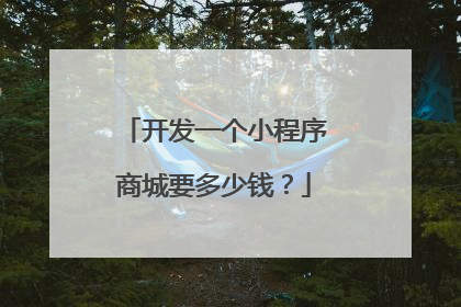 开发一个小程序商城要多少钱?