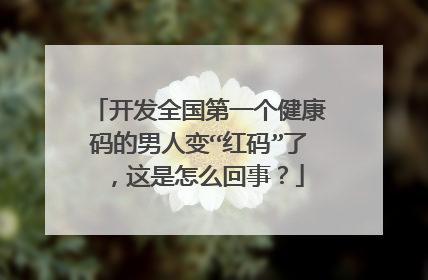 开发全国第一个健康码的男人变“红码”了，这是怎么回事？